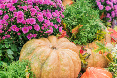 Similar image 21110350