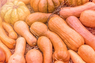 Similar image 21110461