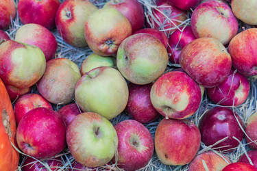 Similar image 21110464