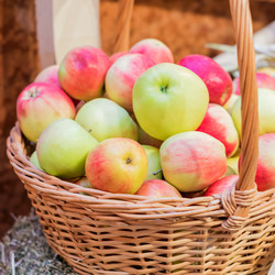 Similar image 21110476