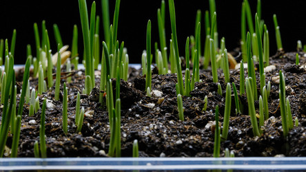 Similar image 21108220