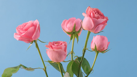 Similar image 21108223