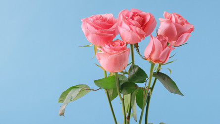 Similar image 21108232