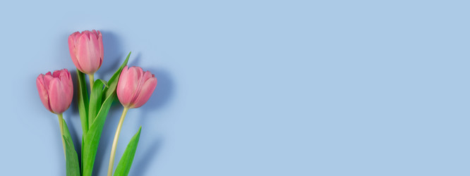 Similar image 21108235