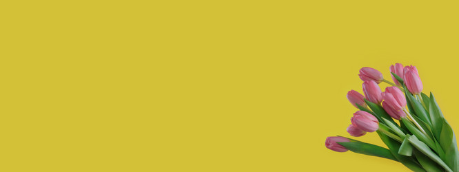 Similar image 21108238