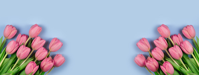 Similar image 21108375