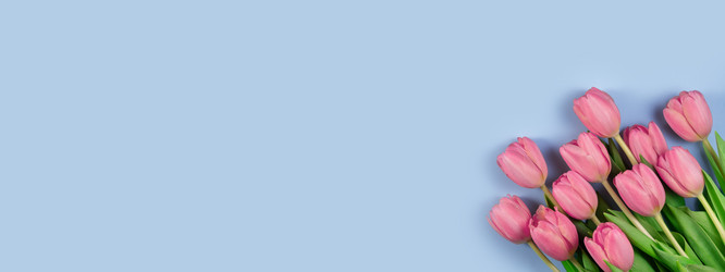 Similar image 21108382