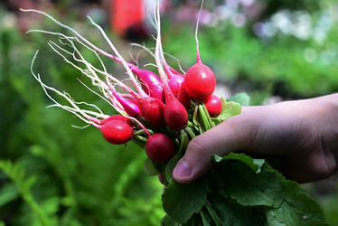 Similar image 21106762