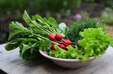 Similar image 21106763