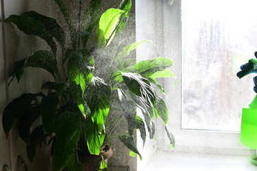 Similar image 21106780