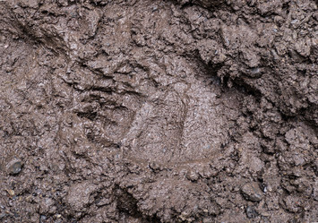 Similar image 21106298