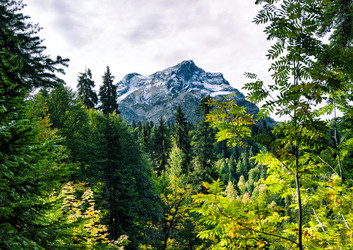 Similar image 21114351