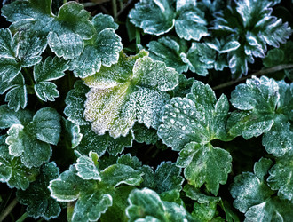 Similar image 21114360