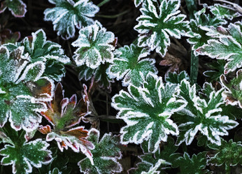 Similar image 21106312