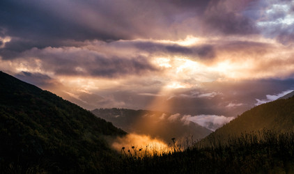 Similar image 21106313