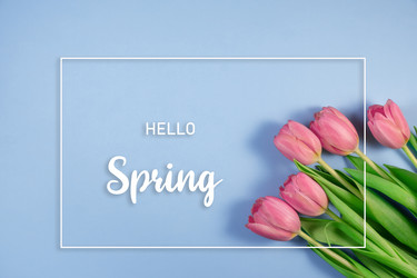 Similar image 21108068