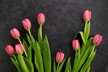 Similar image 21108073