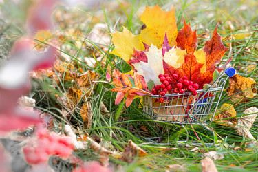 Similar image 21108079