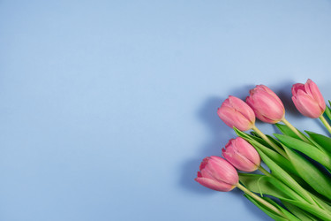 Similar image 21108089