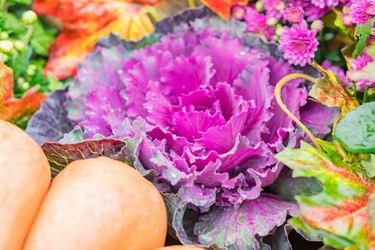 Similar image 21110485