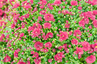 Similar image 21110487