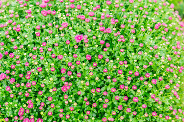 Similar image 21110488