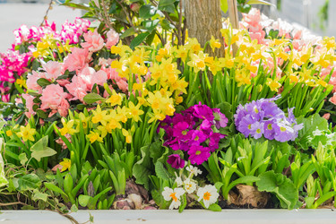 Similar image 21110495