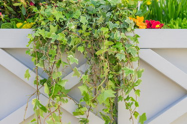 Similar image 21110497