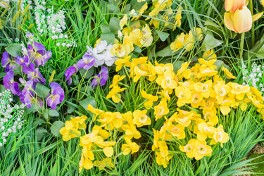 Similar image 21110500