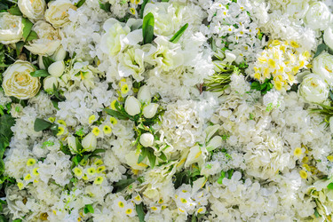 Similar image 21110501