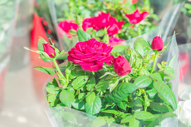 Similar image 21110503