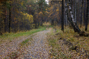 Similar image 21106444