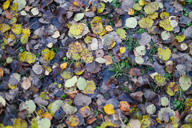 Similar image 21106445