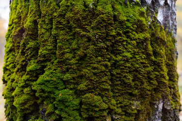 Similar image 21106446