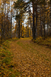 Similar image 21106782