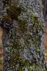 Similar image 21106784