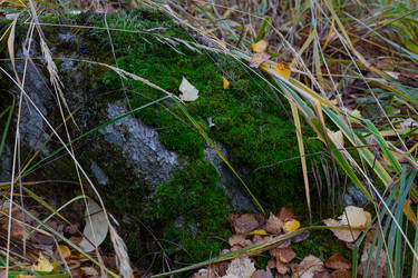 Similar image 21106788