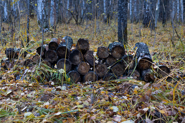 Similar image 21106792