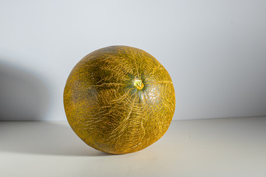 Similar image 21106793