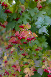 Similar image 21106795