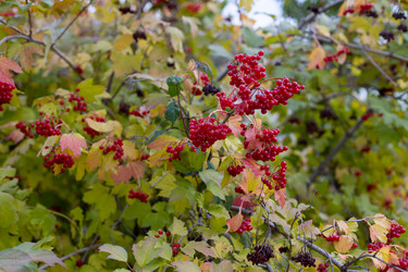 Similar image 21106796