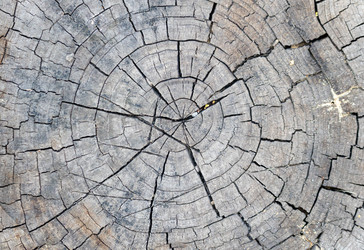 Similar image 21106797