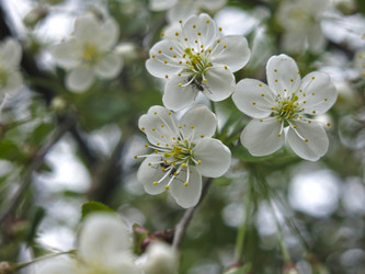 Similar image 21106448