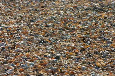 Similar image 21107019