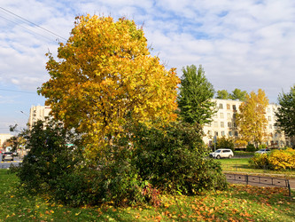 Similar image 21114767