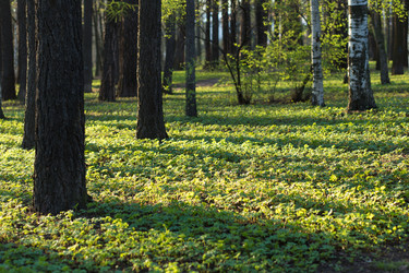 Similar image 21107261