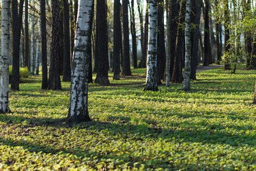 Similar image 21107263