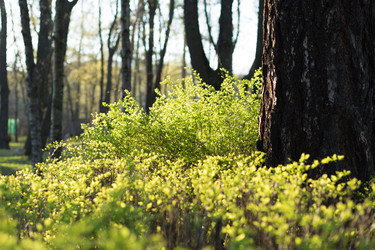 Similar image 21107265