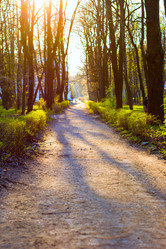 Similar image 21107267