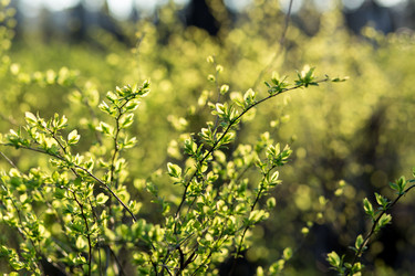 Similar image 21107021